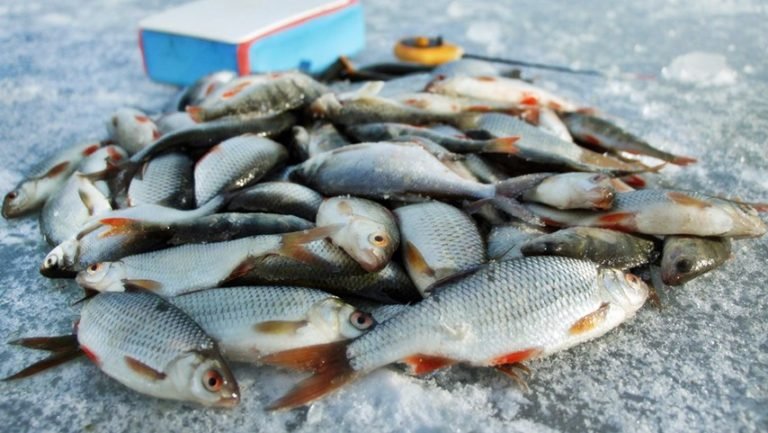 зимняя рыбалка на мормышку уралка
