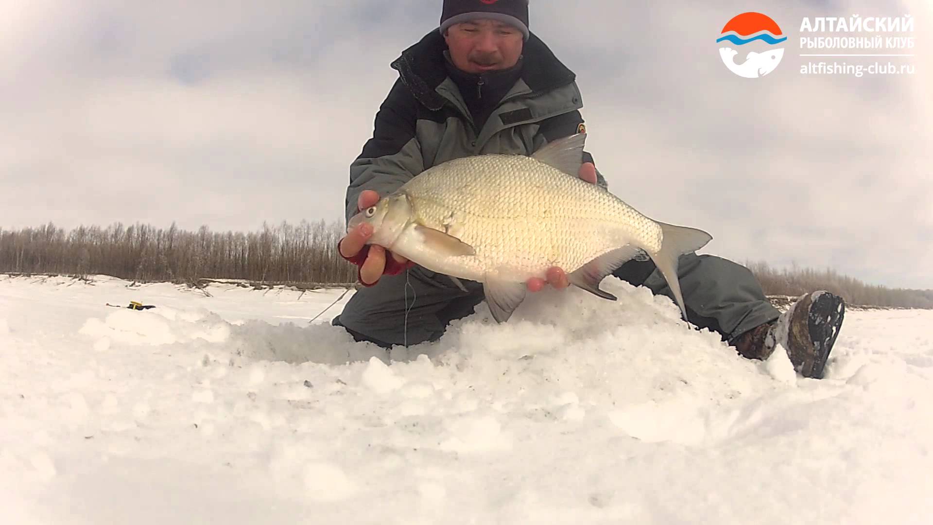 все о рыбалки на карася видео зимой