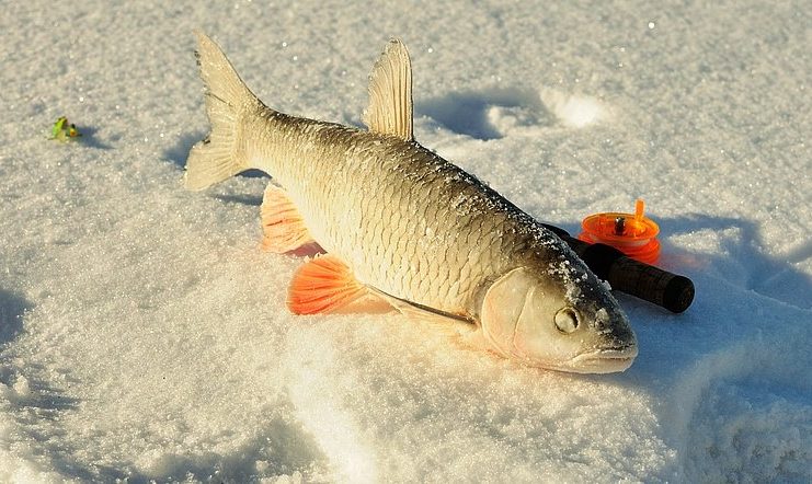 Зимняя рыбалка в Балакове
