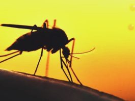Средства от комаров на природе