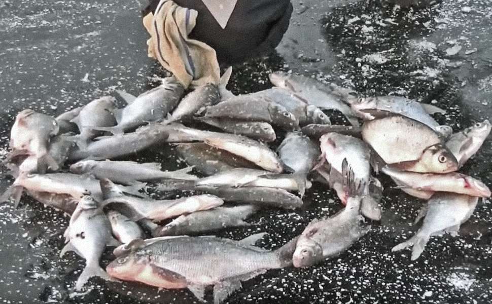 Хорошая зимняя рыбалка: полезные советы, методы ловли и интересные видео