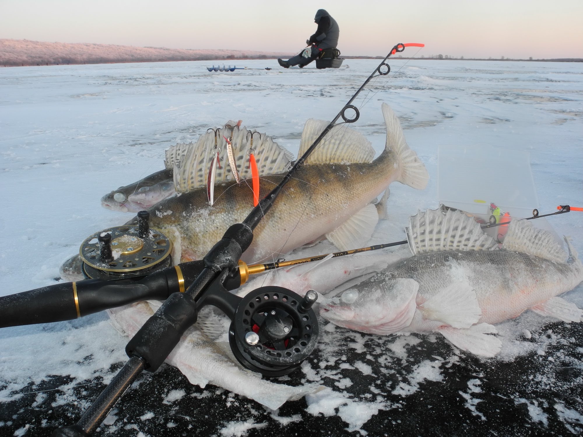 зимняя рыбалка ловля судака и берша