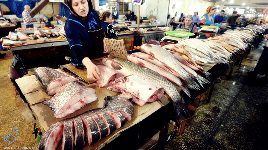 Торговля в рыбных рядах