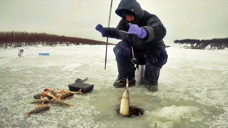 Рыбалка на оке зимой