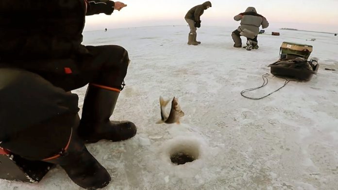 Мормышки для зимней рыбалки своими руками безмотылки - Все нюансы