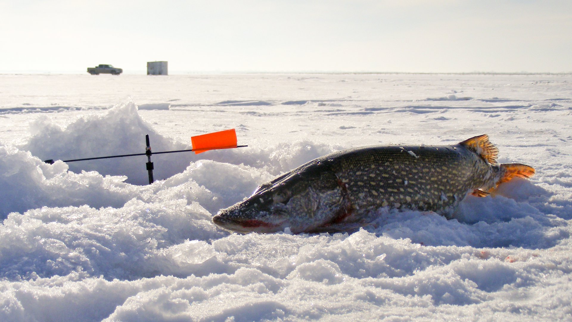 Рыбалка на мормышку на последнем льду - полезные советы и видео