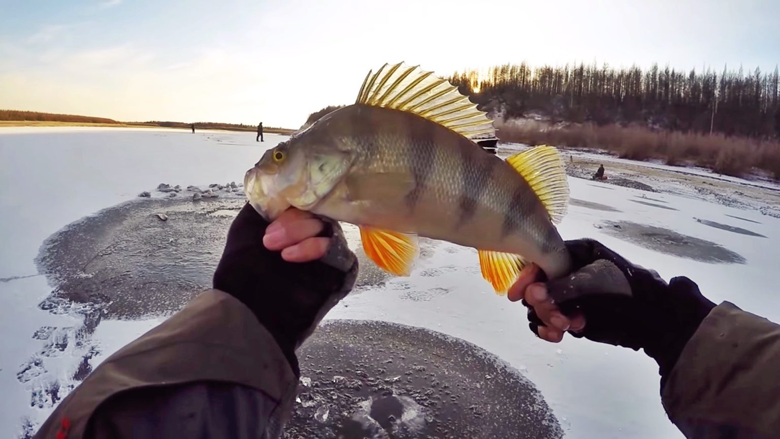 рыбалка зимой первый лед видео