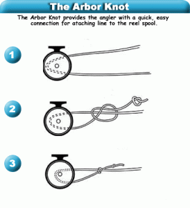 The Arbor Knot