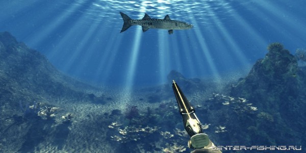 картинки про охоту и подводную охоту