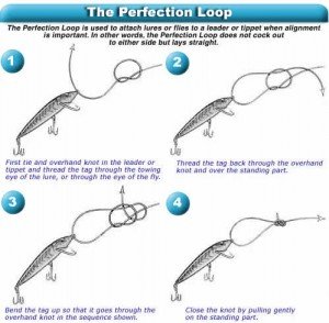 The Perfection Loop
