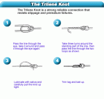 The Trilene Knot