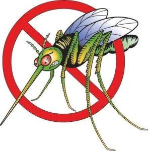 Защита от комаров - средства