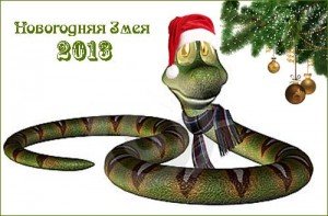2013 год черной водяной змеи