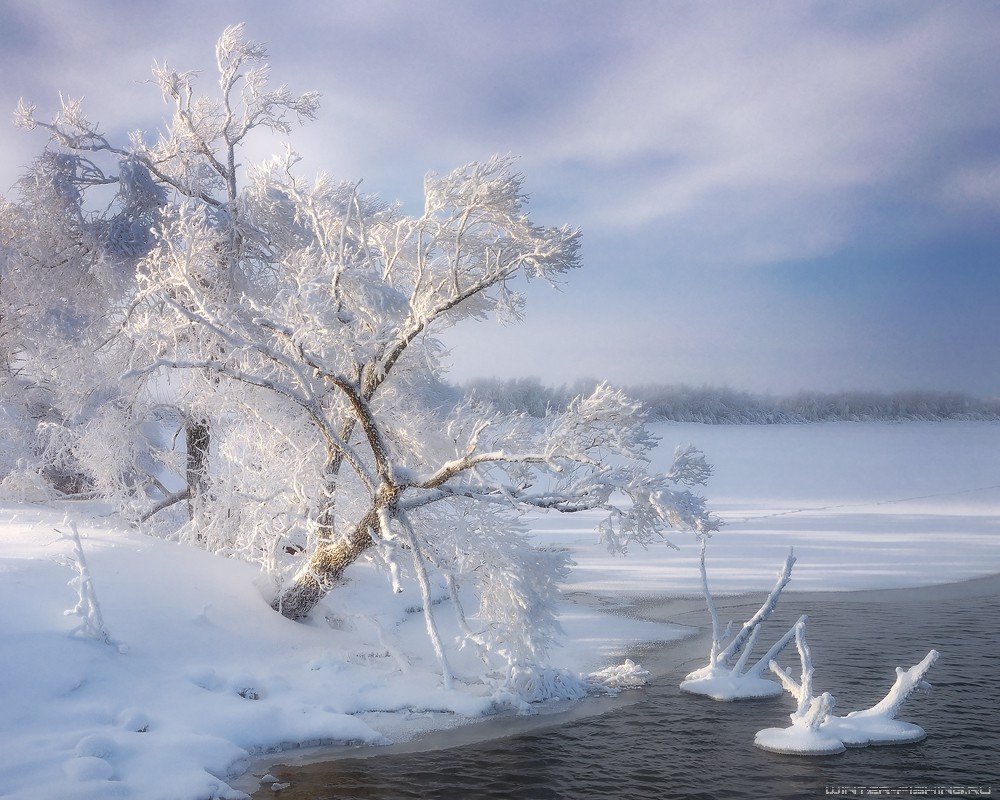 Ловля судака на белом озере зимой - советы и рекомендации