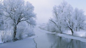 зима, снег, река, деревья, иней